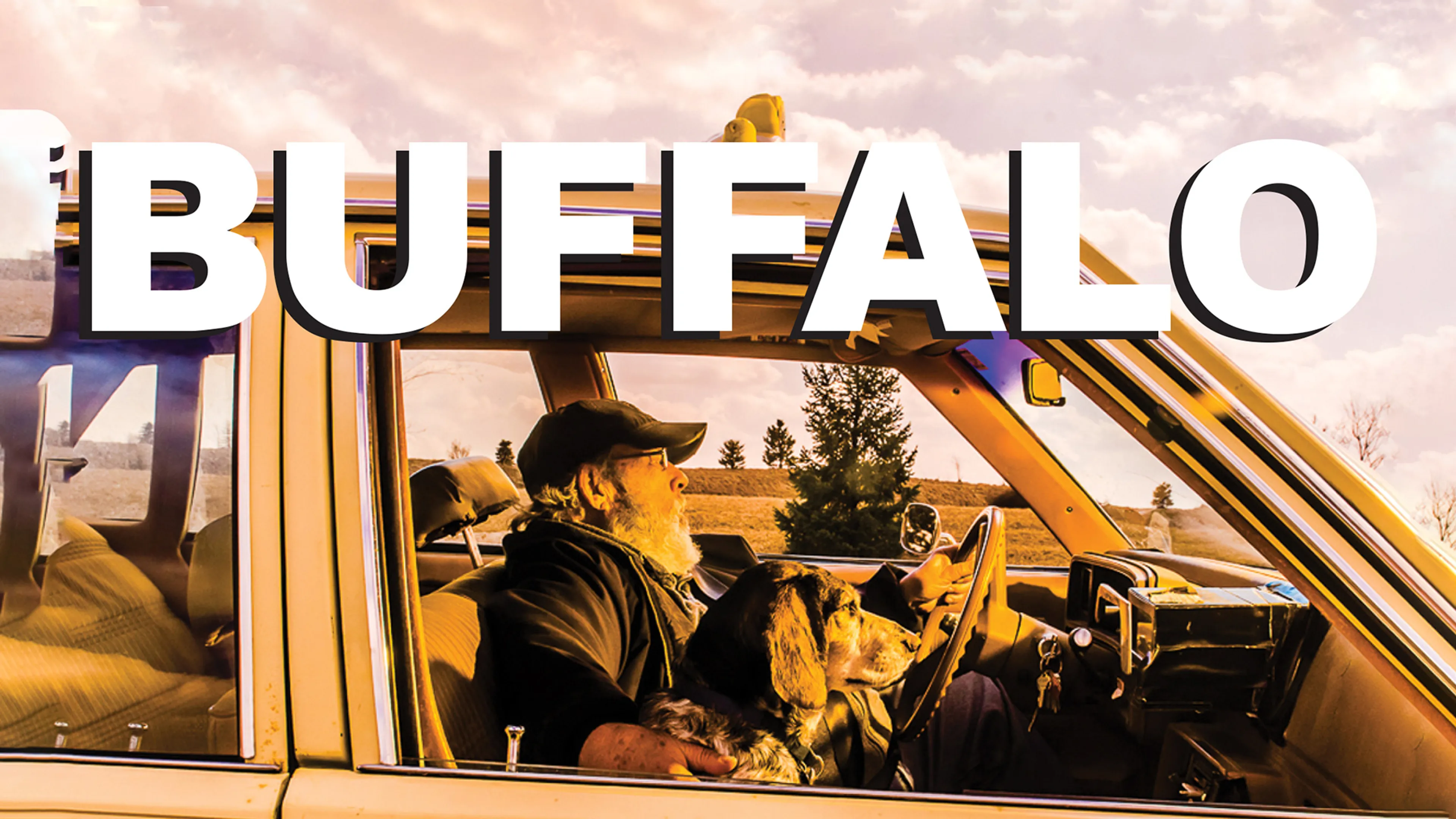 Buffalo poster